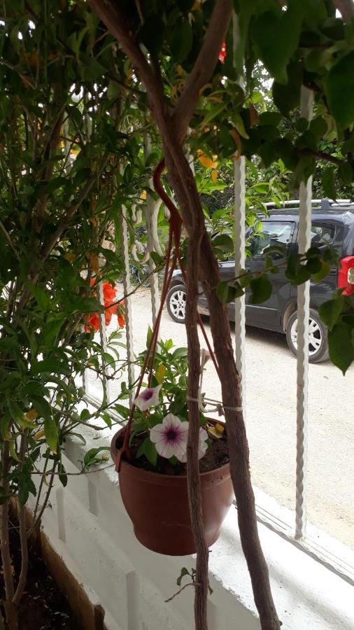Stella City Apartments Fethiye Exterior foto
