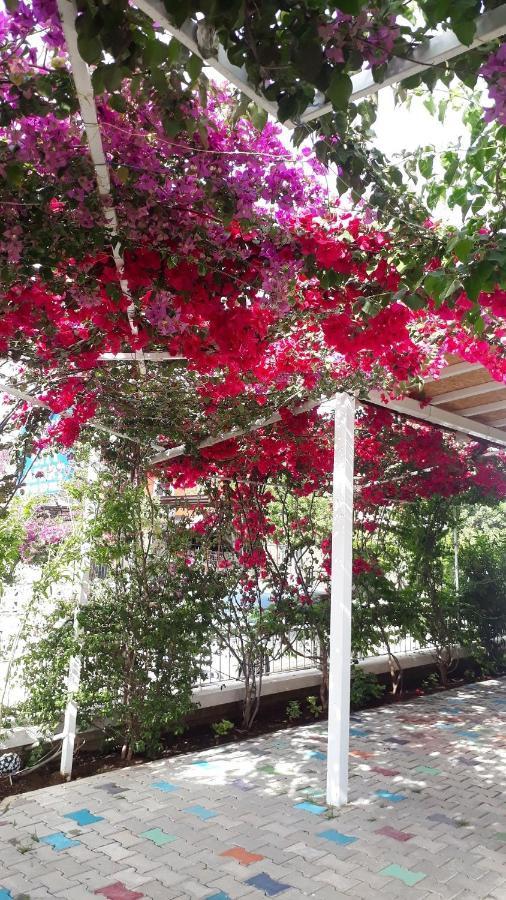 Stella City Apartments Fethiye Exterior foto